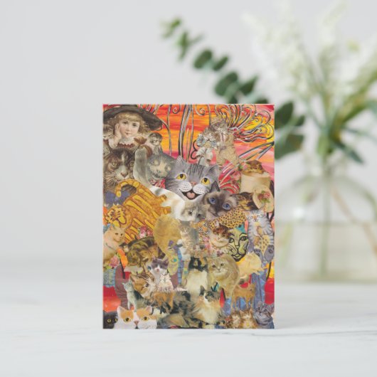 Katzen und viele Postkarten (Stehend Vorderseite)