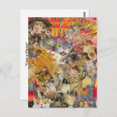 Katzen und viele Postkarten (Vorne/Hinten)