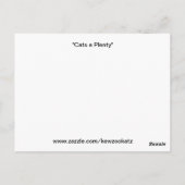 Katzen und viele Postkarten (Rückseite)