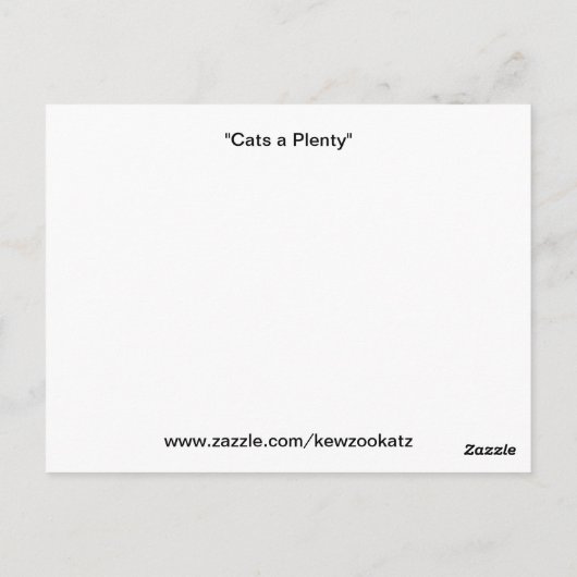 Katzen und viele Postkarten (Rückseite)