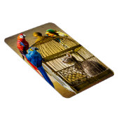 Katzen und Vögel Magnet (Rechte Seite)