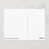 Katzen und Vögel Postkarte (Rückseite)