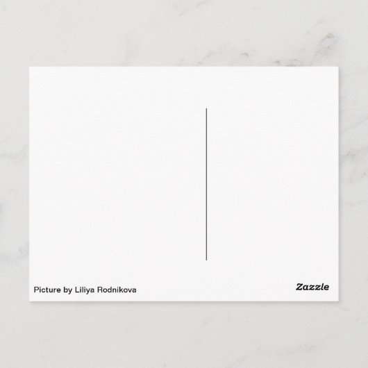 Katzen und Vögel Postkarte (Rückseite)