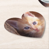 Katzen Untersetzer (angewinkelt)