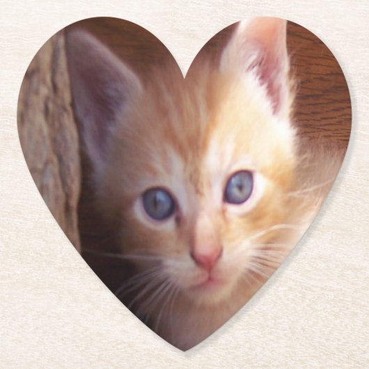 Katzen Untersetzer (Vorderseite)