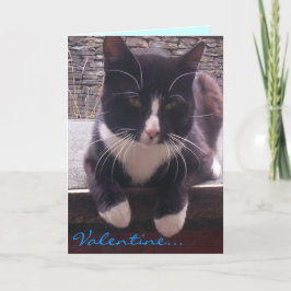 Katzen-Valentinstag-Karte Feiertagskarte