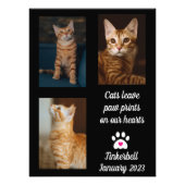 Katzen Verlassen Pawprints | Cat Memorial Foto Col (Vorne)