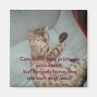 Katzen verließ Pfotendrucke auf deinem Herzen, abe Magnet