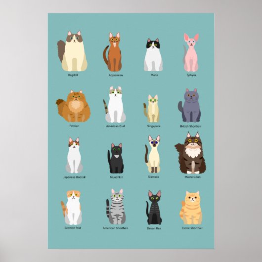 Katzen, verschiedene Katzen, Katzen Kunst Poster (Vorne)