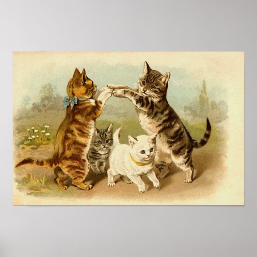 Katzen Vintage Illustration Poster (Vorne)