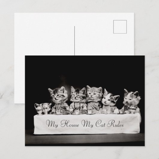 Katzen Vintager Tee Postkarte (Vorne/Hinten)