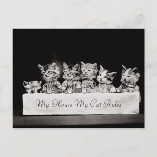 Katzen Vintager Tee Postkarte