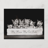 Katzen Vintager Tee Postkarte (Vorderseite)