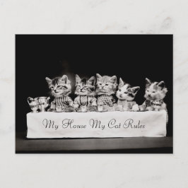 Katzen Vintager Tee Postkarte