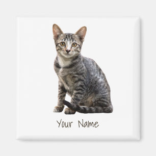 Katzen Vintages Portrait Pet Tomcat Tierdesign Magnet