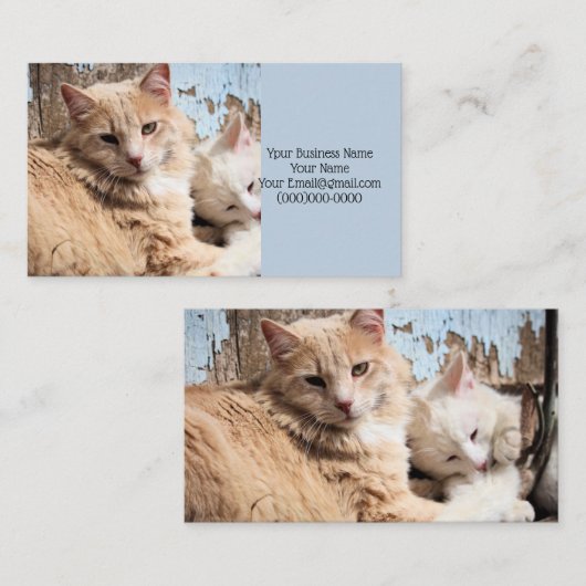 Katzen Visitenkarte (Vorne/Hinten)
