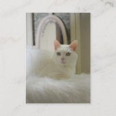 Katzen-Visitenkarte Visitenkarte (Rückseite)