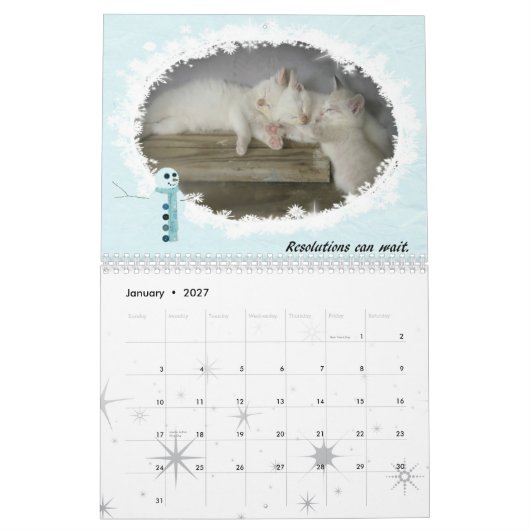 Katzen von 2010 kalender (Jan 2027)