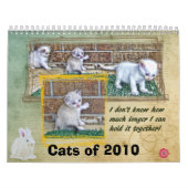 Katzen von 2010 kalender (Titelbild)
