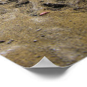 Katzen von Badlands Poster (Ecke)