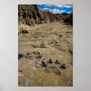 Katzen von Badlands Poster