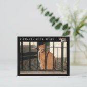 Katzen von Capri, Rotorange-Tabbierkatze - Italien Postkarte (Stehend Vorderseite)