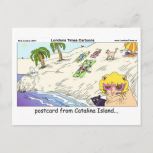 Katzen von Catalina Island Lustige Geschenkkarten  Postkarte