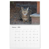 Katzen von Vermont 2024 Kalender (Feb 2026)