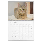 Katzen von Vermont 2024 Kalender (Jan 2026)