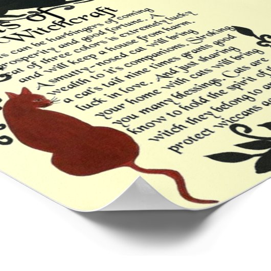 Katzen von Witchcraft-Poster Poster (Ecke)
