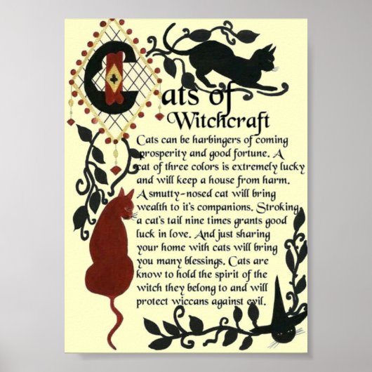 Katzen von Witchcraft-Poster Poster (Vorne)