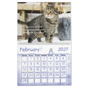 Katzen-Wandkalender 2017 Kalender (Feb 2027)