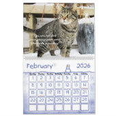 Katzen-Wandkalender 2017 Kalender (Feb 2026)
