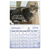 Katzen-Wandkalender 2017 Kalender (Jan 2026)