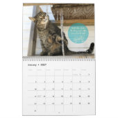 Katzen-Wandkalender Kalender (Jan 2027)