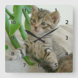 Katzen-Wanduhr Quadratische Wanduhr