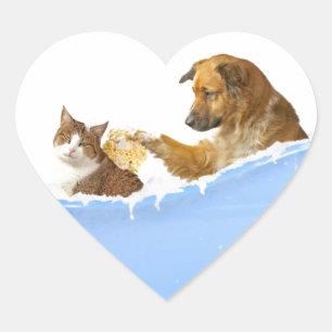 Katzen-Wäsche Herz-Aufkleber