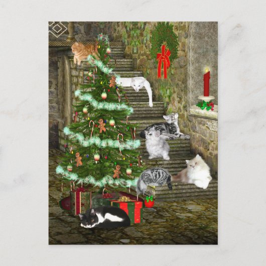 Katzen-Weihnachten Feiertagspostkarte (Vorderseite)