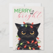 Katzen-Weihnachtslichter Feiertagskarte (Vorderseite)