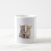 Katzen-Willkommen Kaffeetasse (Mittel)