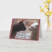 Katzen Willkommen Karte (Gelbe Blume)