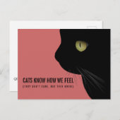Katzen wissen, wie wir uns eine lustige Postkarte  (Vorne/Hinten)