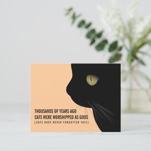 Katzen wurden als "Gods Funny Postcard" verehrt Postkarte (Stehend Vorderseite)
