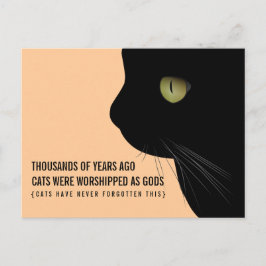 Katzen wurden als "Gods Funny Postcard" verehrt Postkarte