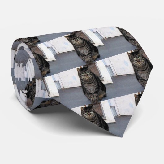 Katzen-wütende Bindung Krawatte (Gerollt)