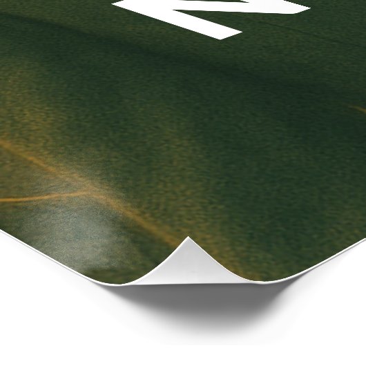 Katzen zahlen keine Steuern: Das Feline Loophole Poster (Ecke)