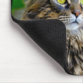Katzen-Zitat-inspirierend Mausunterlage Mousepad (Ecke)