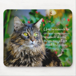 Katzen-Zitat-inspirierend Mausunterlage Mousepad