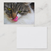 Katzen-Zunge-Fotografie-Visitenkarten Visitenkarte (Vorne/Hinten)