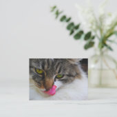 Katzen-Zunge-Fotografie-Visitenkarten Visitenkarte (Stehend Vorderseite)